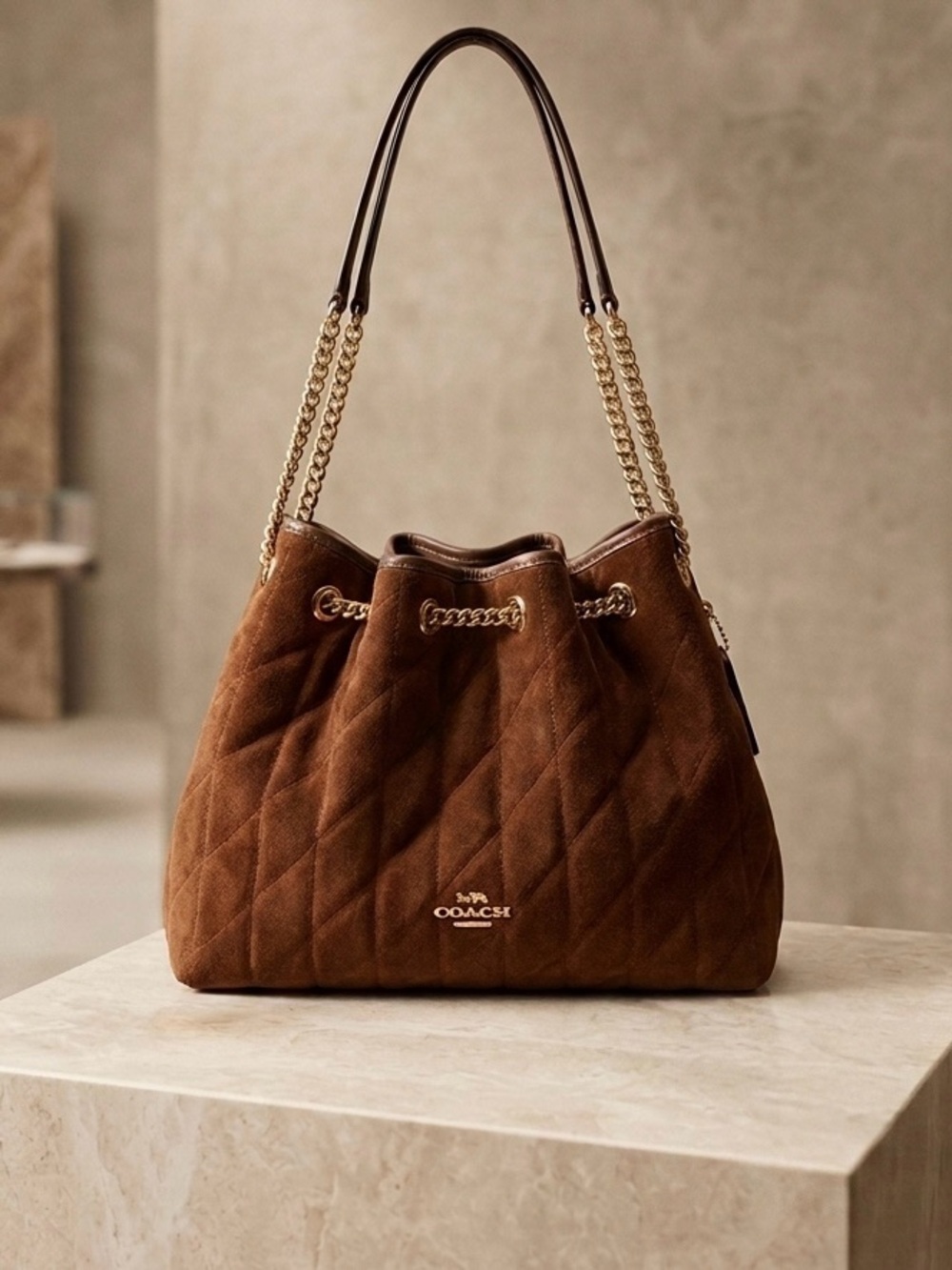 ✨COACH Evelyn Brown Suede bag✨